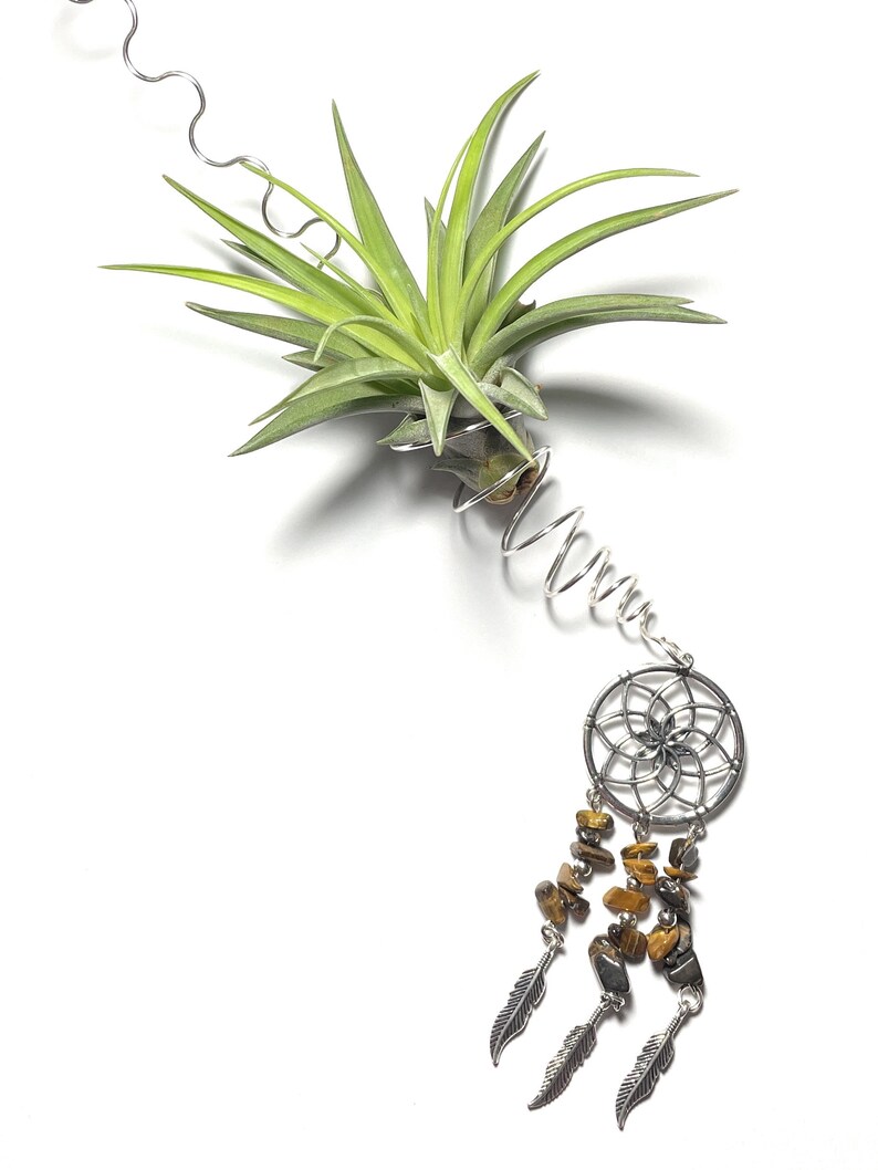 Air Plant Hanger, Hanging Dreamcatcher Tillandsia Wire Wrapped Holder with Tigers Eye Beads image 1
