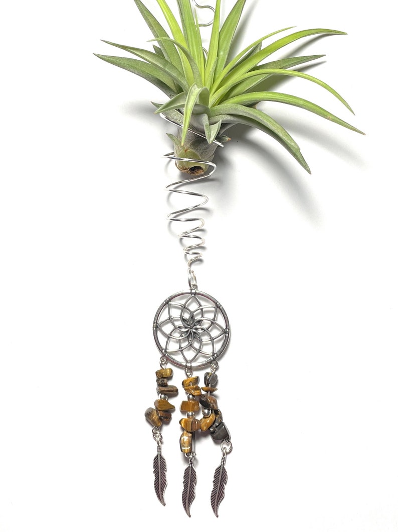 Air Plant Hanger, Hanging Dreamcatcher Tillandsia Wire Wrapped Holder with Tigers Eye Beads image 4