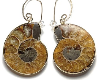 Ammonite Fossil Earrings on Artisan Handmade Gold Filled Earwires - 35mm - OOAK One of a Kind