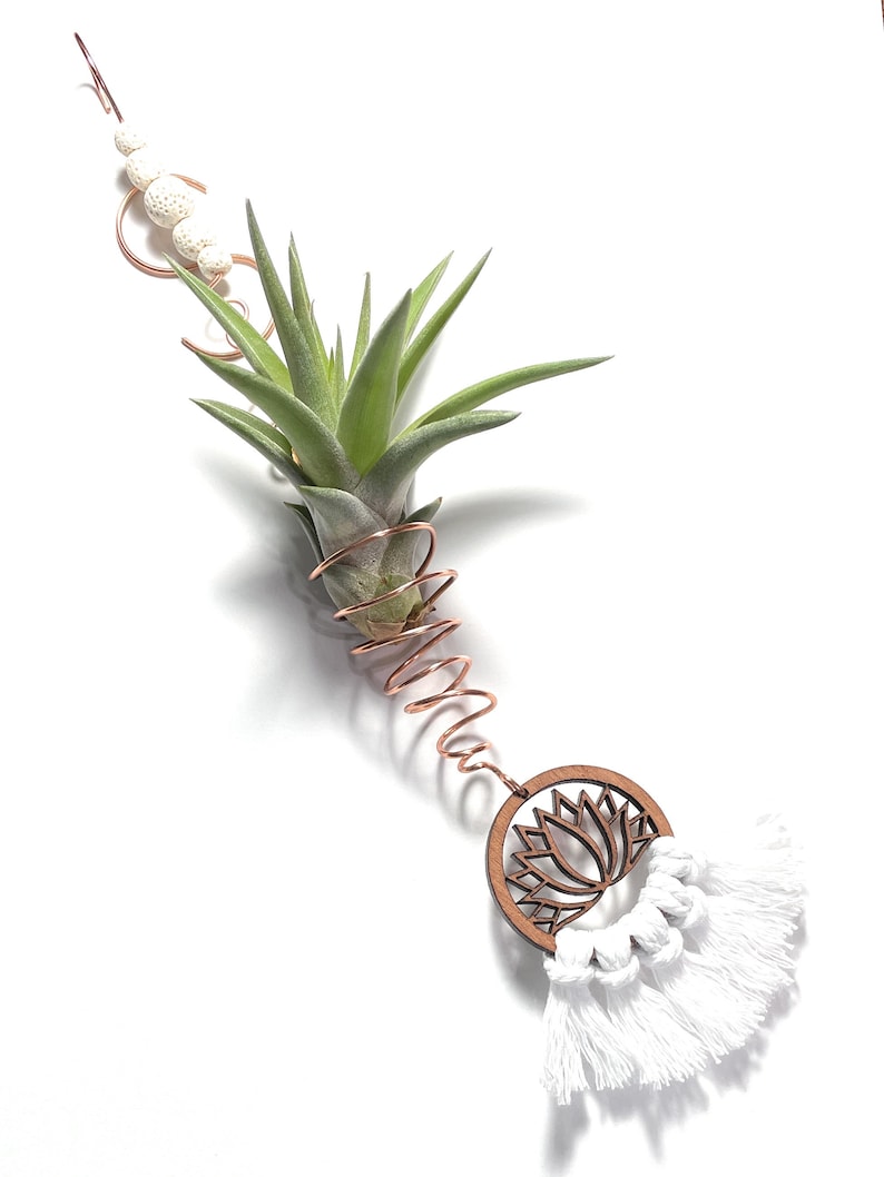 Hanging Air Plant Holder Wire Wrapped Lotus Flower Decor White