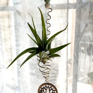 Hanging Air Plant Holder Wire Wrapped Lotus Flower Decor image 10