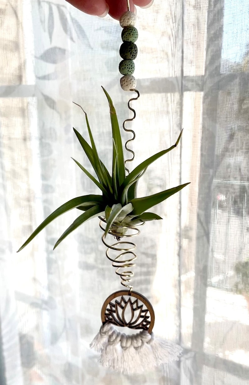Hanging Air Plant Holder Wire Wrapped Lotus Flower Decor image 10