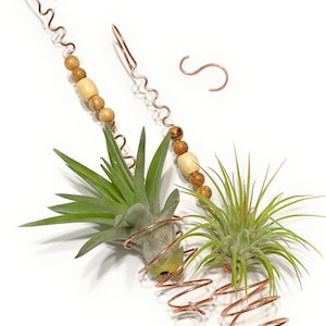 May include: Copper wire air plant hangers with wooden beads and spiral plant holders. The hangers have a wavy design and an S-shaped hook. Two air plants are displayed, one with long green leaves and the other with spiky green leaves.