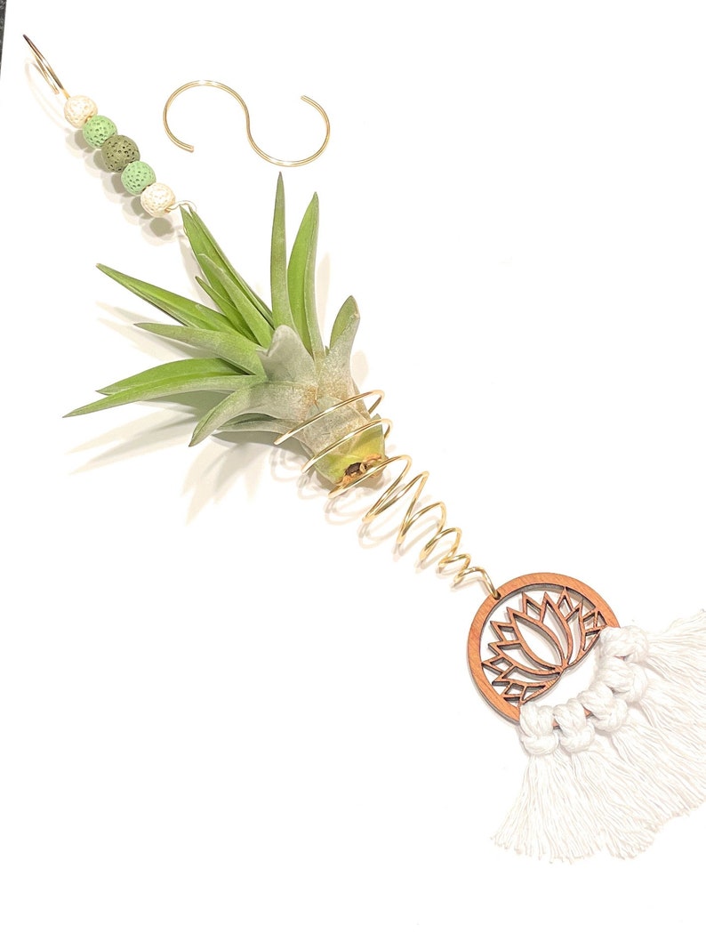 Hanging Air Plant Holder Wire Wrapped Lotus Flower Decor Multigreen