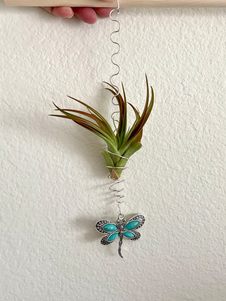 Handmade Wire Wrapped Tillandsia Dragonfly Hanger, Boho Hanging Air Plant Holder image 7