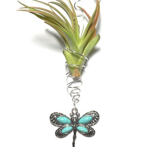 Handmade Wire Wrapped Tillandsia Dragonfly Hanger, Boho Hanging Air Plant Holder image 5