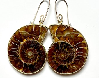 Ammonite Fossil Earrings on Artisan Handmade Gold Filled Earwires - Large 40mm - OOAK One of a Kind