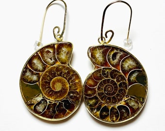 Ammonite Fossil Earrings on Artisan Handmade Gold Filled Earwires - 36mm - OOAK One of a Kind