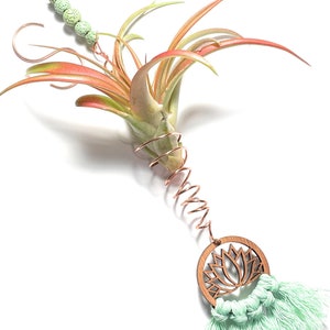 Hanging Air Plant Holder Wire Wrapped Lotus Flower Decor Green