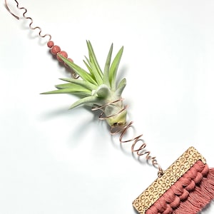 Hanging Wire Wrapped Air Plant Holder Cheetah Print