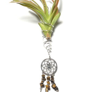 Air Plant Hanger, Hanging Dreamcatcher Tillandsia Wire Wrapped Holder with Tigers Eye Beads image 5