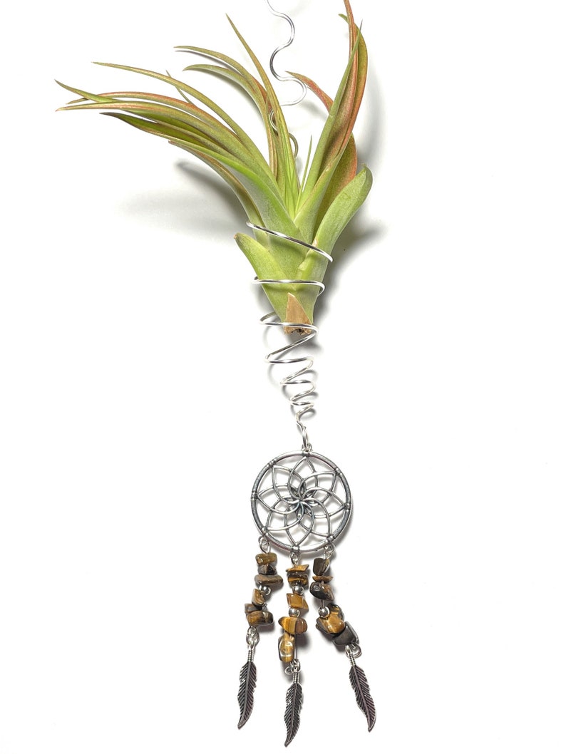 Air Plant Hanger, Hanging Dreamcatcher Tillandsia Wire Wrapped Holder with Tigers Eye Beads image 5