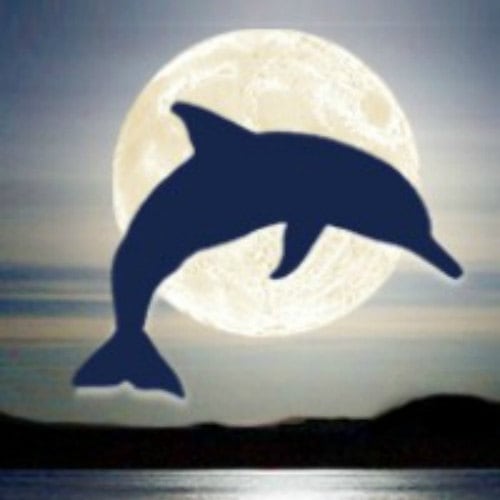 DolphinMoonCreations