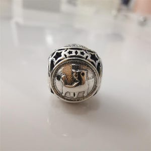 Pandora Zodiac STAR SIGN Silver Charm All 12 Horoscope