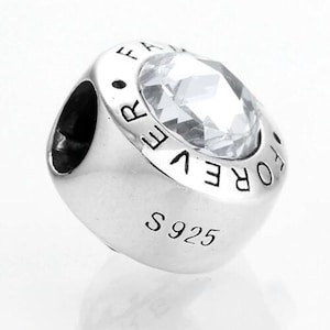 Family Forever Charm for Bracelet  S925 Sterling Silver