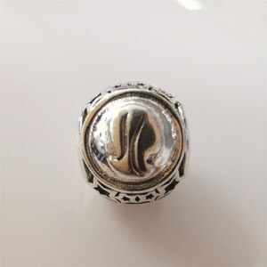 Pandora Zodiac STAR SIGN Silver Charm All 12 Horoscope