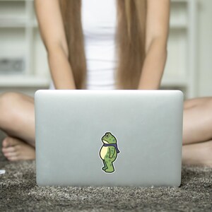 May include: A laptop with a sticker of a cartoon frog wearing a blue scarf. The frog is green with a yellow belly and black outlines. The laptop is silver and sits on a gray carpet.