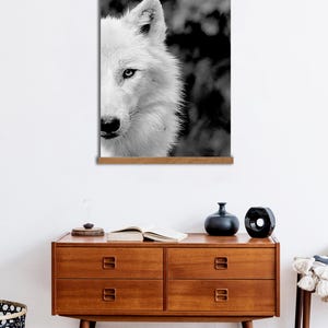 May include: Black and white photograph of a wolf's face. The wolf is looking directly at the camera. The background is blurred and out of focus.