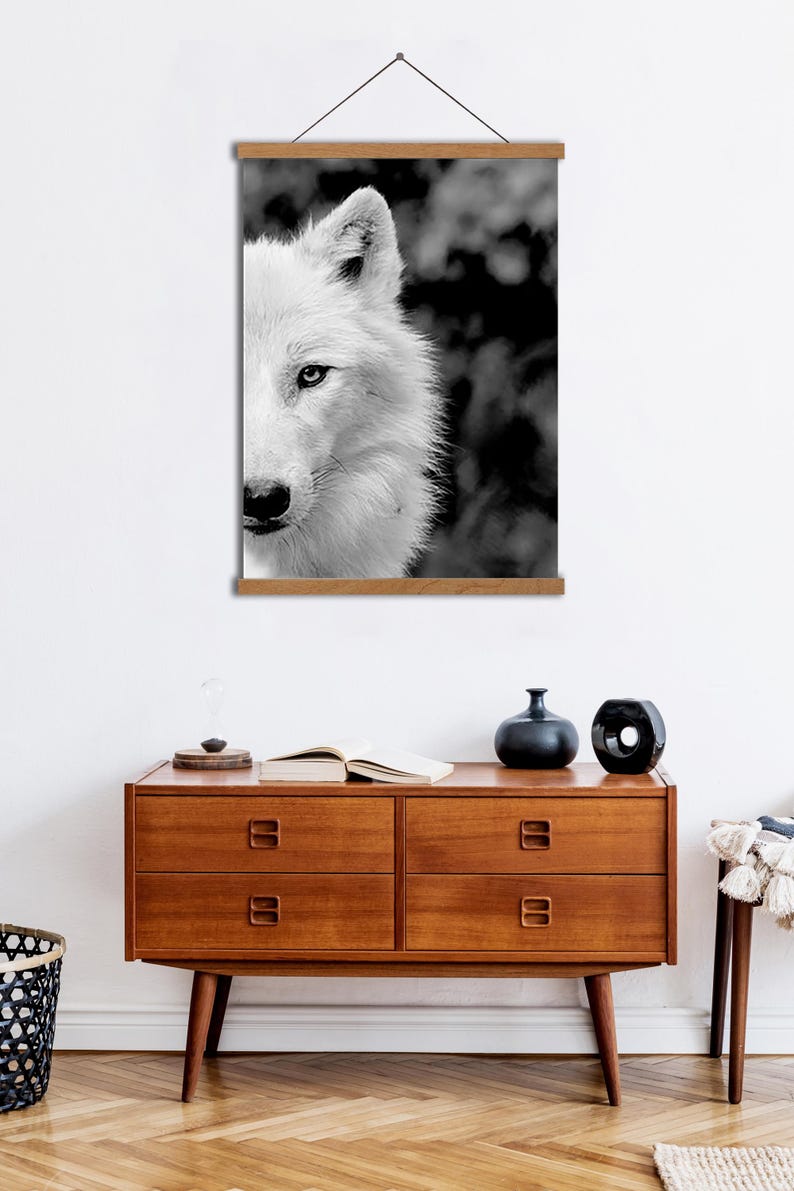 May include: Black and white photograph of a wolf's face. The wolf is looking directly at the camera. The background is blurred and out of focus.