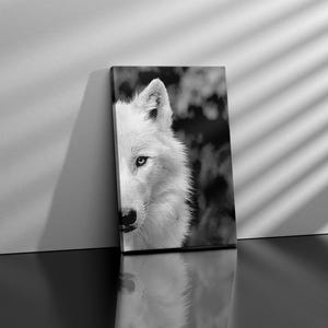 May include: Black and white photograph of a wolf's face. The wolf is looking directly at the camera. The wolf's fur is white and fluffy. The background is blurred.