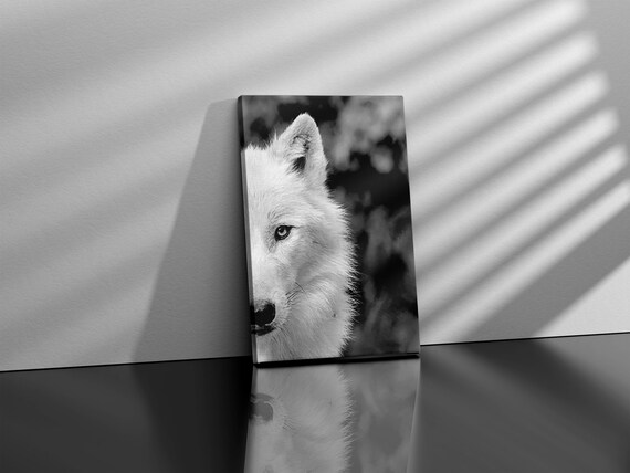 Framed Wolf Wall Art, Black and White Wolf, Wilderness Photography, Animal Poster, Printable Wall Art Forest Wolf Photo Large Wall Art,