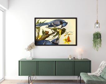 Blue Birds Print,Botanical Prints, Wall Art, Prints, Giclee, Vintage Bird Prints, Audubon Bird Prints,