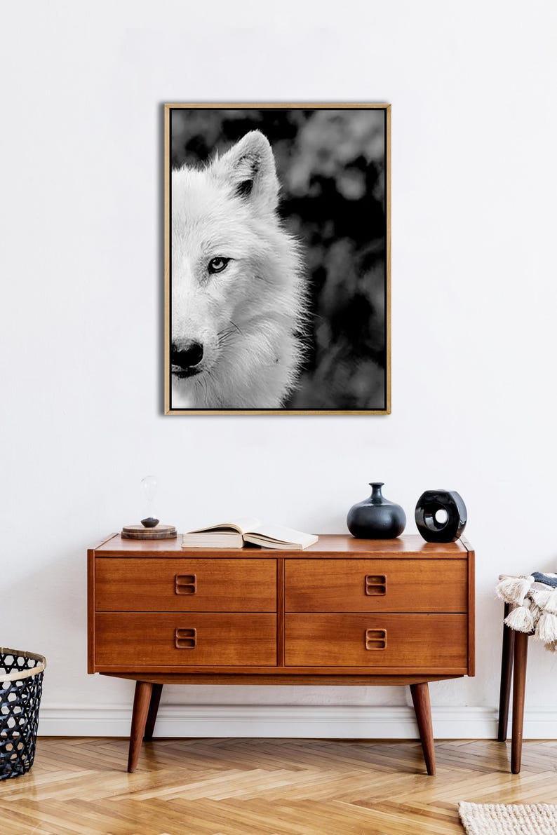 May include: Black and white photograph of a wolf's face. The wolf is looking directly at the camera. The background is blurred.