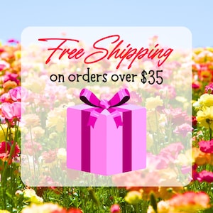 Love Song Bingo, Musical Charades, Bachelorette Games, Galentines Party Favors, Valentines Game image 18