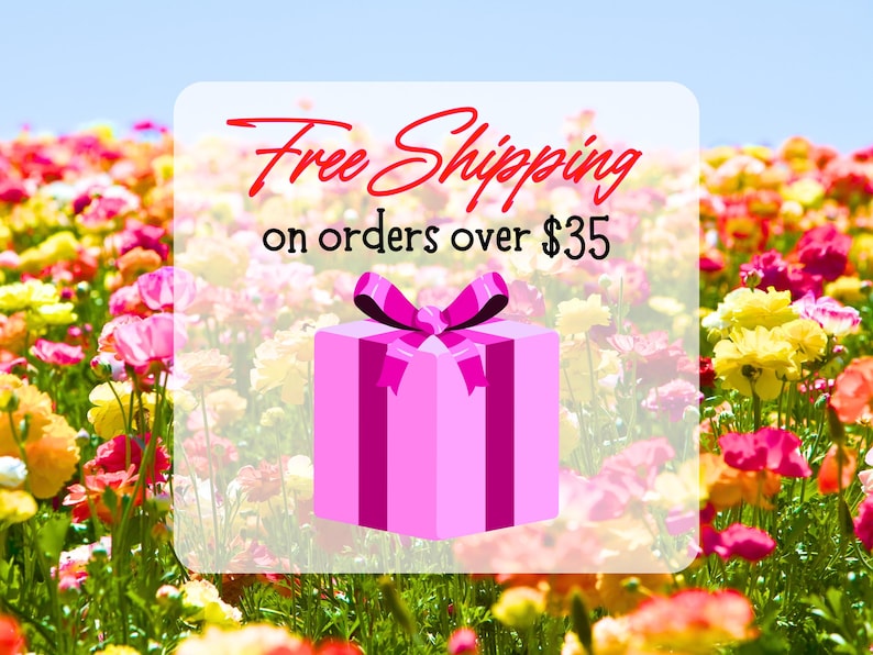 Love Song Bingo, Musical Charades, Bachelorette Games, Galentines Party Favors, Valentines Game image 18