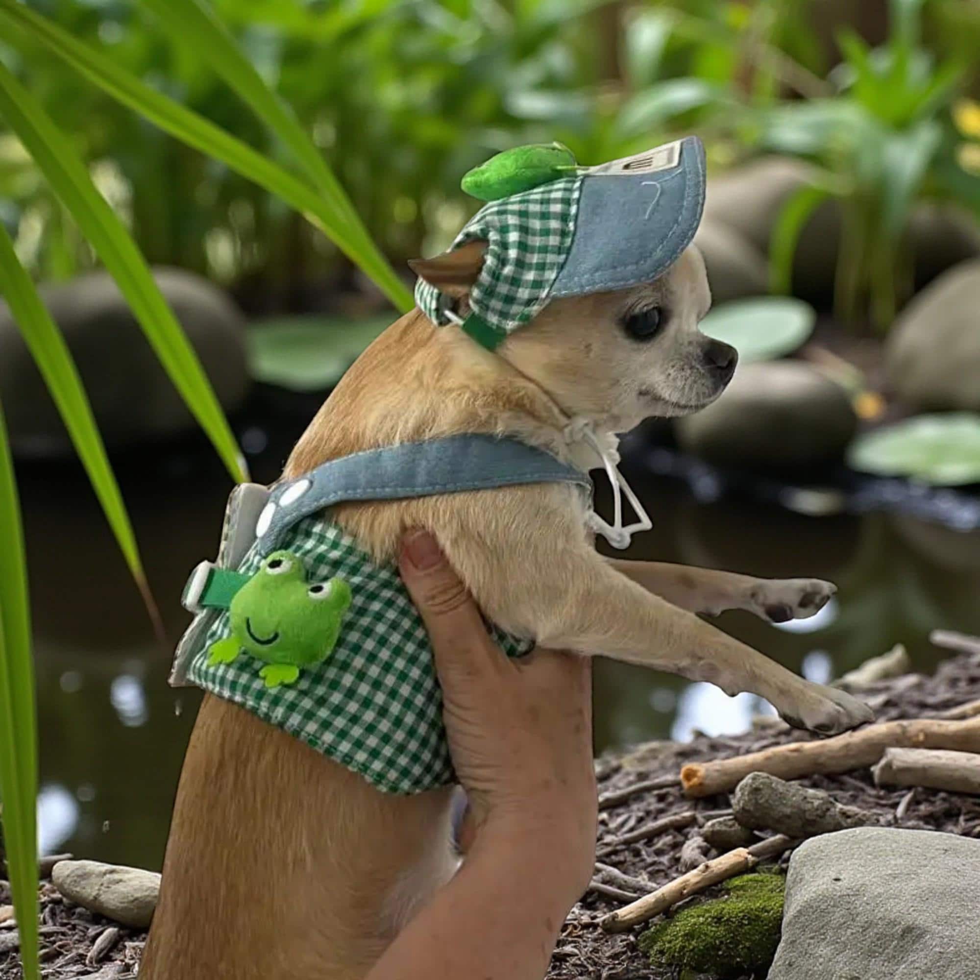 Frog Dog Harness