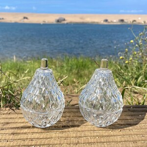 Könnte beinhalten: Ein Paar Streuer aus klarem Glas mit einem facettierten, diamantartigen geometrischen Muster auf der Außenfläche. Jeder Streuer hat einen abgerundeten, birnenförmigen Körper, der sich nach oben hin verjüngt und mit einer kleinen, silberfarbenen Kappe abschließt.