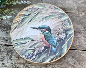 1989 Wedgwood Kingfisher Plate – Terance James Bond Art – Wildlife Collector Gift – RSPB Limited Edition