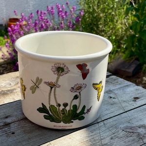 "Vintage Portmeirion Botanischer Garten Blumentopf ""Bellis Perennis"" Gänseblümchen - Blumentopf aus Keramik."