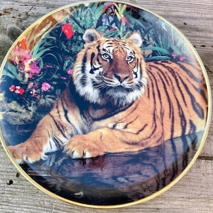 Puede incluir: Plato decorativo redondo con una imagen detallada de un tigre descansando en un exuberante y colorido entorno selvático. El tigre tiene rayas naranjas y negras, con un borde dorado. El plato es un artículo decorativo.