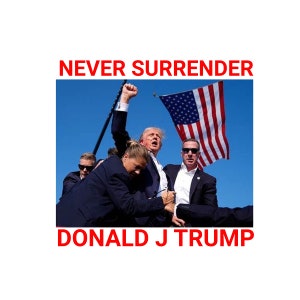 May include: A photo of Donald J. Trump with the text "Never Surrender" and "Donald J. Trump" in red letters. Trump is raising his fist in the air and is surrounded by people. An American flag is waving in the background.