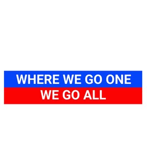 TRUMP  bumper sticker