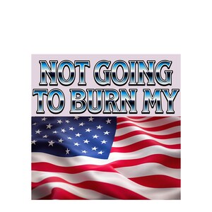 TRUMP Political sticker x2