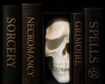 Gothic Sad Skull Book Nook | Dark Academia Library Decor, Creepy Bookshelf Insert, Melancholic Medieval Literature Ornament, Haunted Oddity