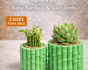 3D Printed Bamboo Style Planter Pot for Succulents, Desk Decor