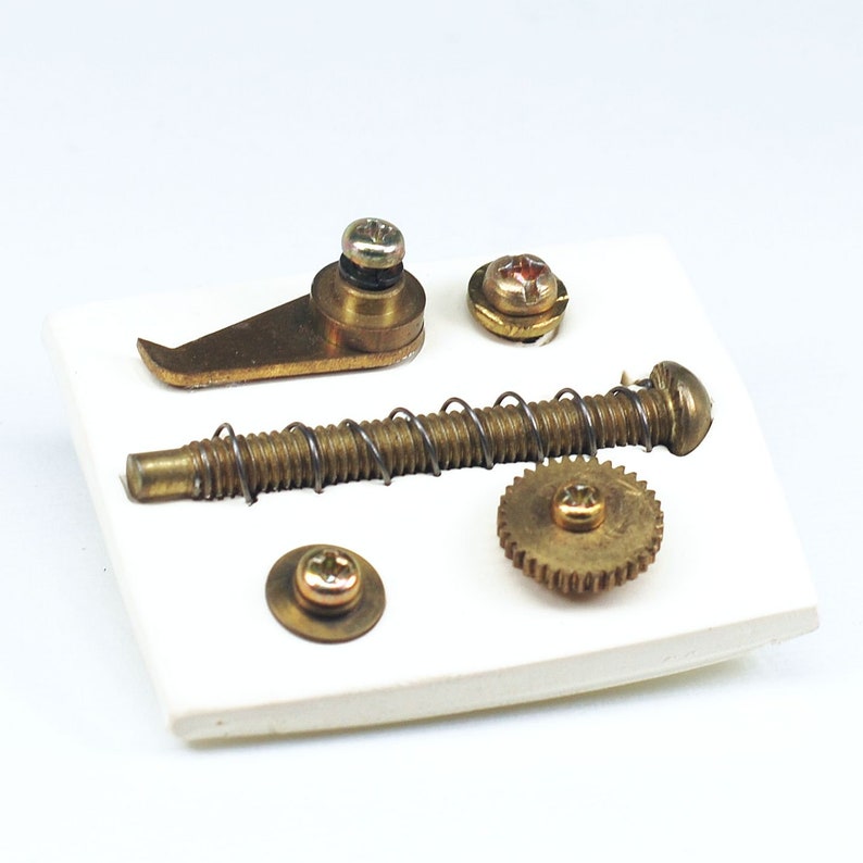 May include: A set of brass watch parts including a spring, a gear, a lever, and two screws.