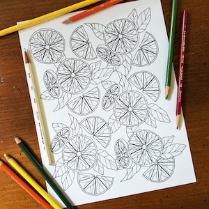 Printable Adult Coloring Book Page / Lemons Coloring Download Page / Summer Lemons Coloring Sheet / Line Art Orange Lemon Lime Coloring Page