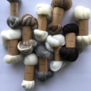Sheep Breed Sampler Set - International Set 1
