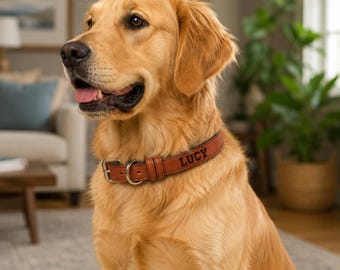 Aangepaste gegraveerde leren hondenhalsband Gepersonaliseerde kunstleer halsband voor huisdieren Duurzame stalen gesp Aangepaste naam en telefoonhalsband Cadeau voor honden (PD-1)