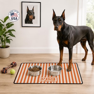 Peut inclure: Un tapis d'alimentation rectangulaire pour animal avec un motif à rayures verticales orange et blanches et le mot SUSHI imprimé au centre. Deux bols en acier inoxydable sont posés sur le tapis, l'un rempli de croquettes et l'autre d'eau.