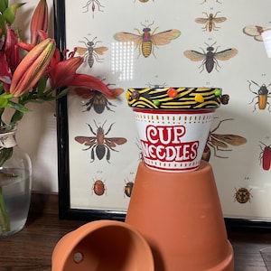 以下が含まれることがあります： テラコッタ製の鉢の中に、さらに小さなテラコッタ製の鉢が入っています。小さな鉢は、カップラーメンのカラフルなデザインで飾られています。鉢は、昆虫の額縁入りプリントの前にある木製の表面の上に置かれています。