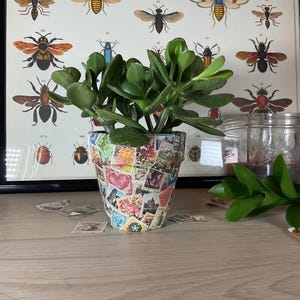 May include: A jade plant in a terracotta pot decorated with colourful postage stamps. The pot is sitting on a wooden table.