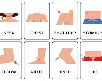 Aprender las partes del cuerpo para niños