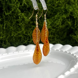 Op de afbeelding: Een paar goudkleurige bungelende oorbellen met fijne gouden kettinkjes die aan oorhaakjes hangen. Elke oorbel heeft twee druppelvormige, amberkleurige bladhangers met een opvallend donkerbruin gespikkeld patroon op het oppervlak.