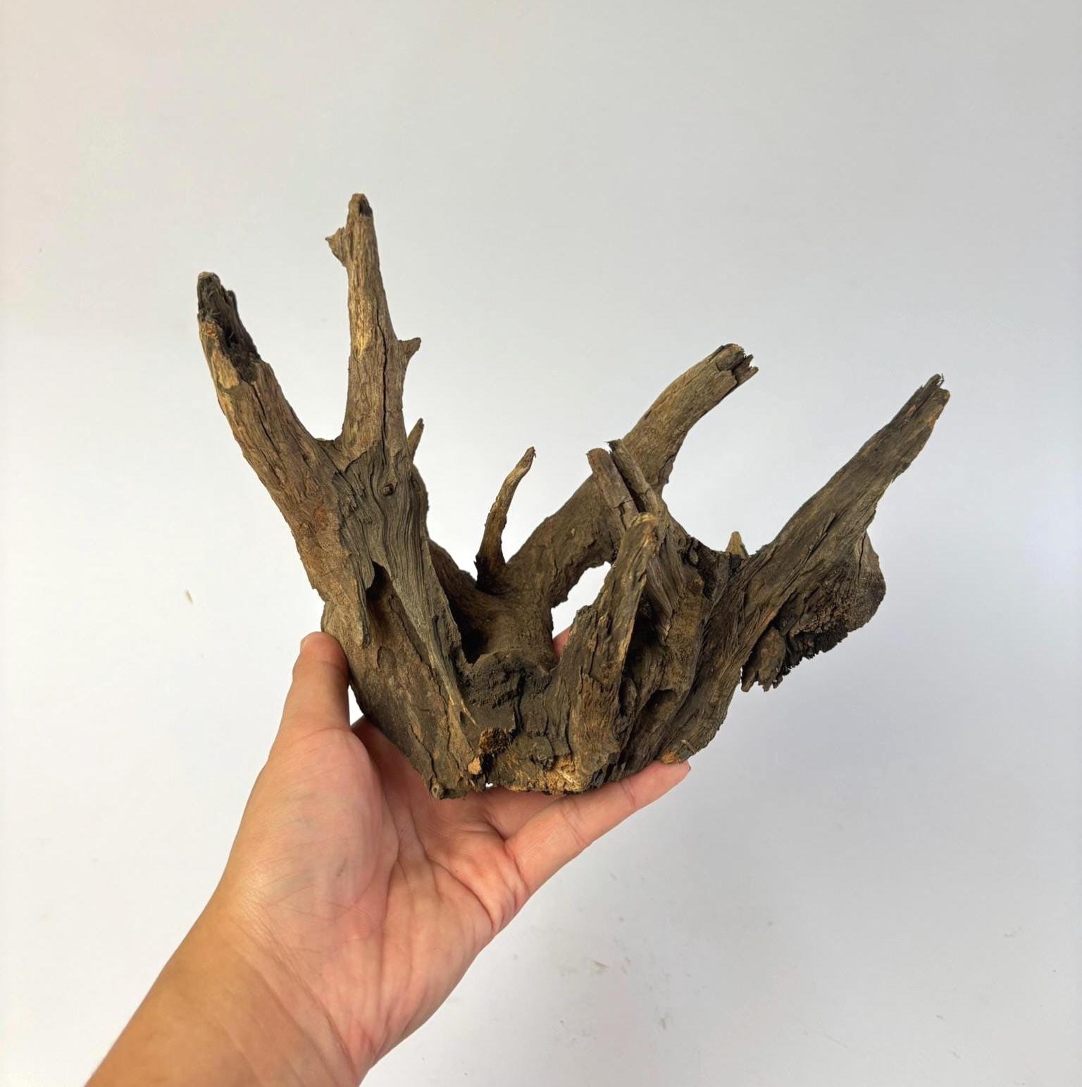 Natural Aquarium Driftwood Thailand 6-8&quot; | Aquarium Driftwood | Aquarium Decor | Fish Tank | Terrarium Wood Decor | Tree Branch | Tree Root