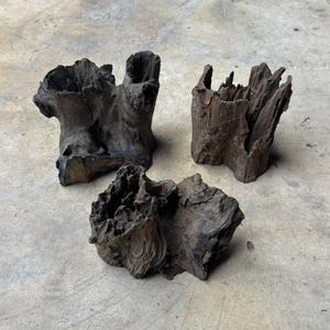 Natural Aquarium Driftwood from Thailand 4-6&quot; | Aquarium Driftwood | Aquarium Decor | Fish Tank | Terrarium Wood Decor | Wood Stump | 3 PCS